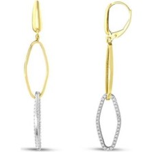 Assos Altın Sallantılı Tasarım Küpe - 14K