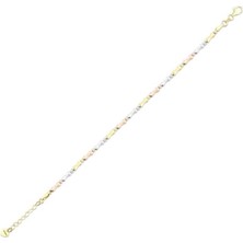 Assos Dorika Toplu Altın Bileklik - 14K