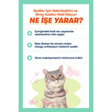 Biofeline Relax Paste 100 gr (Kedi Sakinleştirici Macun)