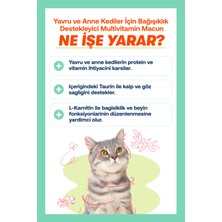 Biofeline Kitten Paste 100 Gr. ( Yavru ve Anne Kedi Macunu )