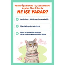 BioFeline Kediler İçin Biotinli Tüy Dökülmesini Azaltıcı Plus B Damla 50ml
