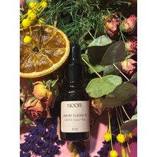 Noor Atelier Lavanta Uçucu Yağı