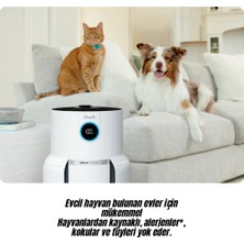 Shark Ninja Temizlerken Ferah Bir Koku Yayar Ve Kokuları 2 Kata Kadar Nötralize Eder Clean Sense Iq Hava Temizleyicisi