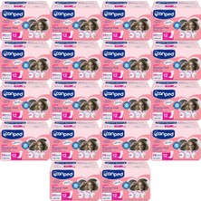 Canped Mesane Pedi Ultra M - Medium - Orta 216 Adet 18 Paket x 12