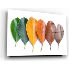 Marsilyan Renkli Yapraklar Cam Tablo | Hediyelik, Dekoratif, Ofis, Mutfak