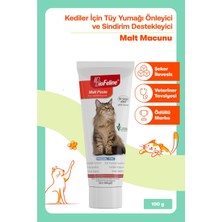 Rüyam Biofeline Kediler İçin  Malt Macunu 100g