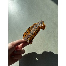 Nolana Leopar Desenli Kemik Asetat Yüksek Kalite Toka - Kahverengi