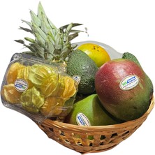 Avogarden Fit Tropik Paketi