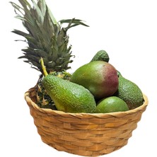 Avogarden Tropik Enerji Paketi
