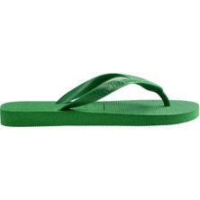 Havaianas Top  Kadın Terlik