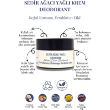 Sedir Ağacı Yağlı Deokrem 30 ml - Doğal ve Etkili Krem Deodorant, Cam Kavanozda