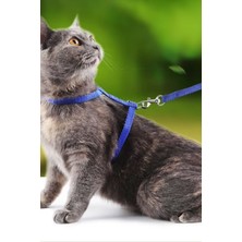 Then Tech Kedi Sırt Tasması Kancalı Sağlam Kedi Tasması Göğüs Tasması Park Gezileri İçin Tasma