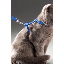Then Tech Kedi Sırt Tasması Kancalı Sağlam Kedi Tasması Göğüs Tasması Park Gezileri İçin Tasma