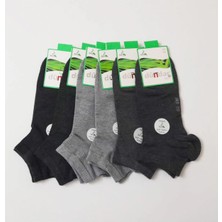 Dündar Patik Parfümlü Dikişsiz Bambu Erkek Soket Çorap 6lı Asorti