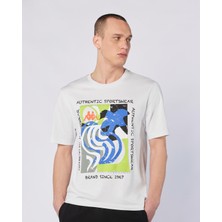 Hibbs Tee Erkek Gri Comfort Fit Tişört