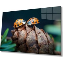 Marsilyan Uğur Böceği ve Yaprak Cam Tablo, Ev ve Ofis Duvar Dekoru,  Büyük Temperli 4 mm Cam Tablo