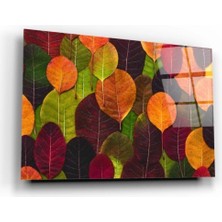 Renkli Yapraklar Cam Tablo