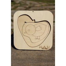 Han Kids Design Tavuğun Eğitici Yaşam Döngüsü