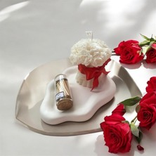 Merz Design Decor Dekoratif Bulut Tabak, Mini Beton Saksıda Soya Wax Gül Mum Buketi ve Cam Fanusta Çakmak Kağıtlı Kibrit