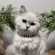 Lady Fify Kedi Köpek Için Sadem Mor Kolye / Takı