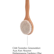 Efsoon Organics At Kılı Saplı Fırça