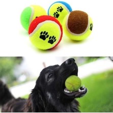 Ozcmax 3lü Renkli Desenli Tenis Topu Kedi Köpek Oyuncağı
