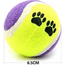 Ozcmax 3lü Renkli Desenli Tenis Topu Kedi Köpek Oyuncağı