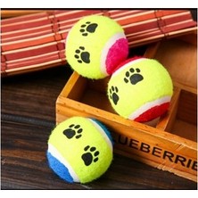 Ozcmax 3lü Renkli Desenli Tenis Topu Kedi Köpek Oyuncağı