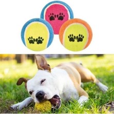 Ozcmax 3lü Renkli Desenli Tenis Topu Kedi Köpek Oyuncağı