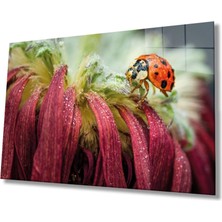 Marsilyan Uğur Böceği ve Yaprak Cam Tablo, Ev ve Ofis Duvar Dekoru, Hediyelik Büyük Temperli 4 mm Cam Tablo