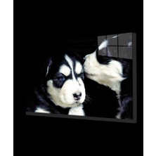 Marsilyan- Kedi ve Köpek Cam Tablo