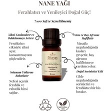 Bioran Nane Yağı Saf Bitkisel Uçucu Yağ 10 ml. (Mentha Arvensis Leaf/stem Oil)