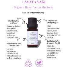 Lavanta Yağı % 100 Saf Bitkisel Uçucu Yağ 20 ml. (Lavender Essential Oil)