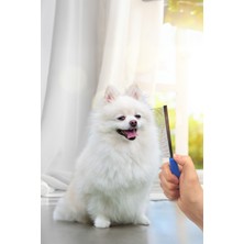 Evcil Hayvan Kedi Köpek Kıtık Açıcı Metal