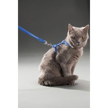 Gampus Yeni Nesil Kedi Tasması Dışarıda Gezdirmek İçin Rahat Kullanım Göğüs Tasması