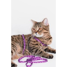 Gampus Yeni Nesil Kedi Tasması Dışarıda Gezdirmek İçin Rahat Kullanım Göğüs Tasması