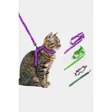 Gampus Yeni Nesil Kedi Tasması Dışarıda Gezdirmek İçin Rahat Kullanım Göğüs Tasması
