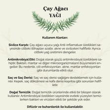 Wobox Çay Ağacı Yağı 20ml Saf Ve Doğal Tea Tree Oil