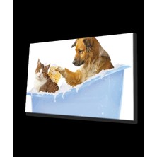Marsilyan- Kedi Köpek Cam Tablo