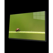 Marsilyan- Yeşil Yaprak Uğur Böceği Cam Tablo