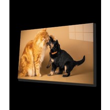 Marsilyan- Kedi  Köpek Cam Tablo
