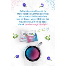 Raika Well Mavi Kelebek Sarmaşığı Detoks Çayı