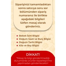 Giftcrea Kişiye Özel Pleksi Bebek Doğum Bilgileri Tablosu – Sevimli Aslanlı Tasarım
