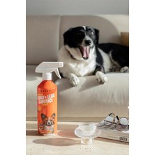 Çok Amaçlı Kötü Koku Giderici 500 ML ve Evcil Hayvan Koku Ve Leke Giderici 500 ML Set