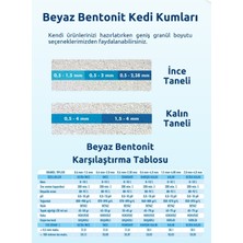 Rigor Cat Bebek Pudralı Topaklanan Kedi Kumu 2 x 10 L