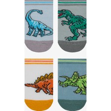 Erkek Çocuk Big Dino Çok Renkli 4lü Patik Çorap