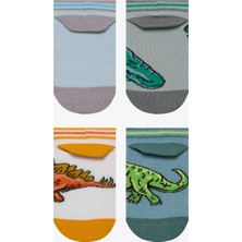 Erkek Çocuk Big Dino Çok Renkli 4lü Patik Çorap