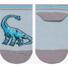 Erkek Çocuk Big Dino Çok Renkli 4lü Patik Çorap