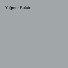 Marshall Silikonlu Özel Mat Yağmur Bulutu 0,75LT (1 kg)