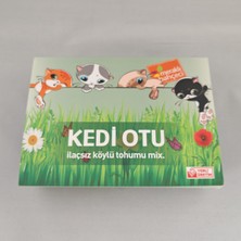 Big Trend Store Kedi Otu Kit (Kedi Çimi Set) - Toprak, Saksı, Koruyucu File ve Tohum Seti